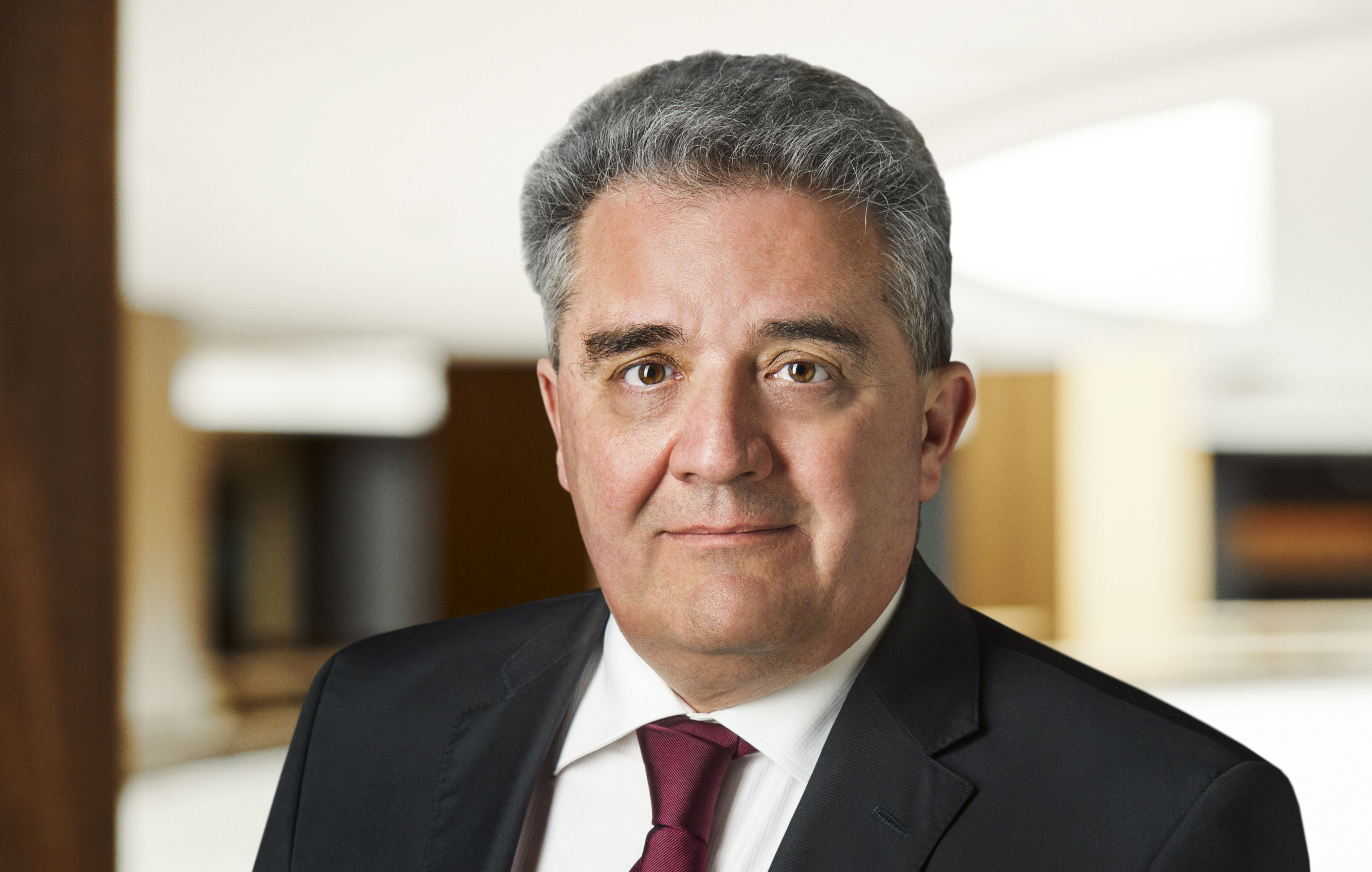 Ljubomir Nedeljkovic Web 2